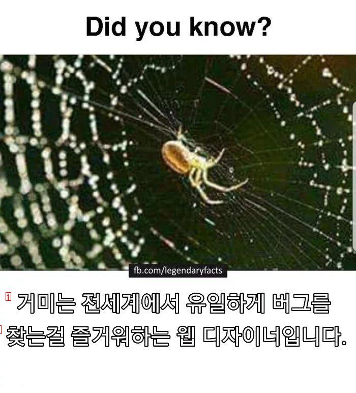 버그 잡는걸 즐기는 웹 디자이너