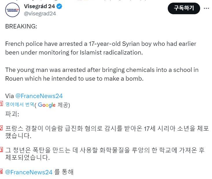 프랑스 경찰이 17세 소년을 체포