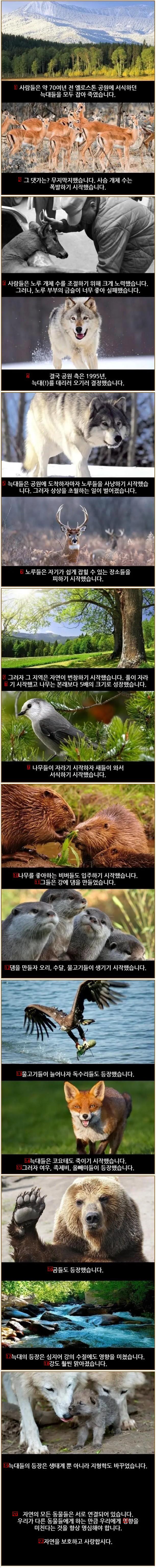 생태계의 신비함