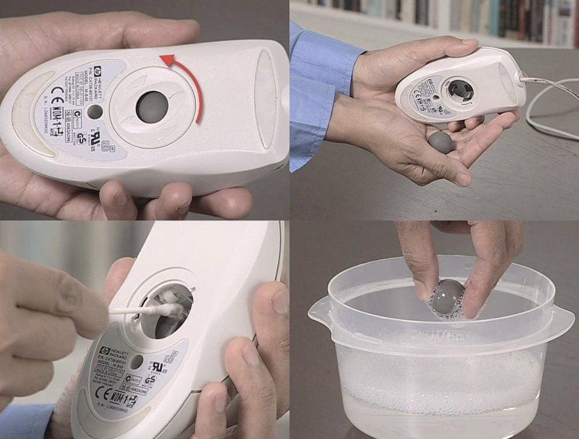 25年前のマウス洗浄法JPG