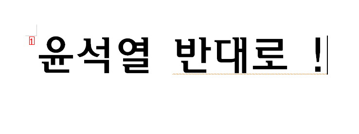 차기대통령은 이 공약 하나면 당선확실!