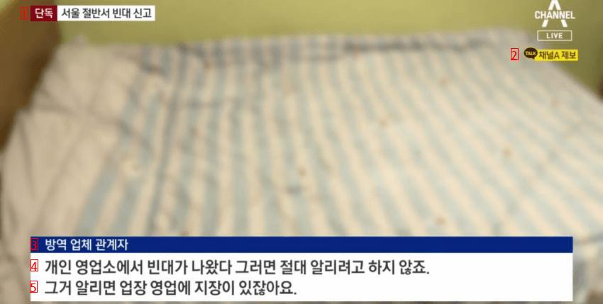 서울시 빈대 방역 의뢰 현황