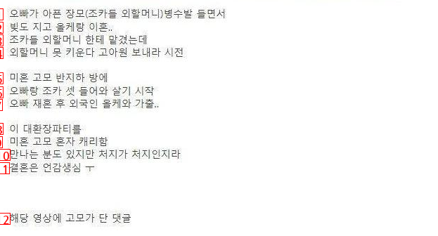 조카 셋을 11년째 키우고 있는 미혼 고모