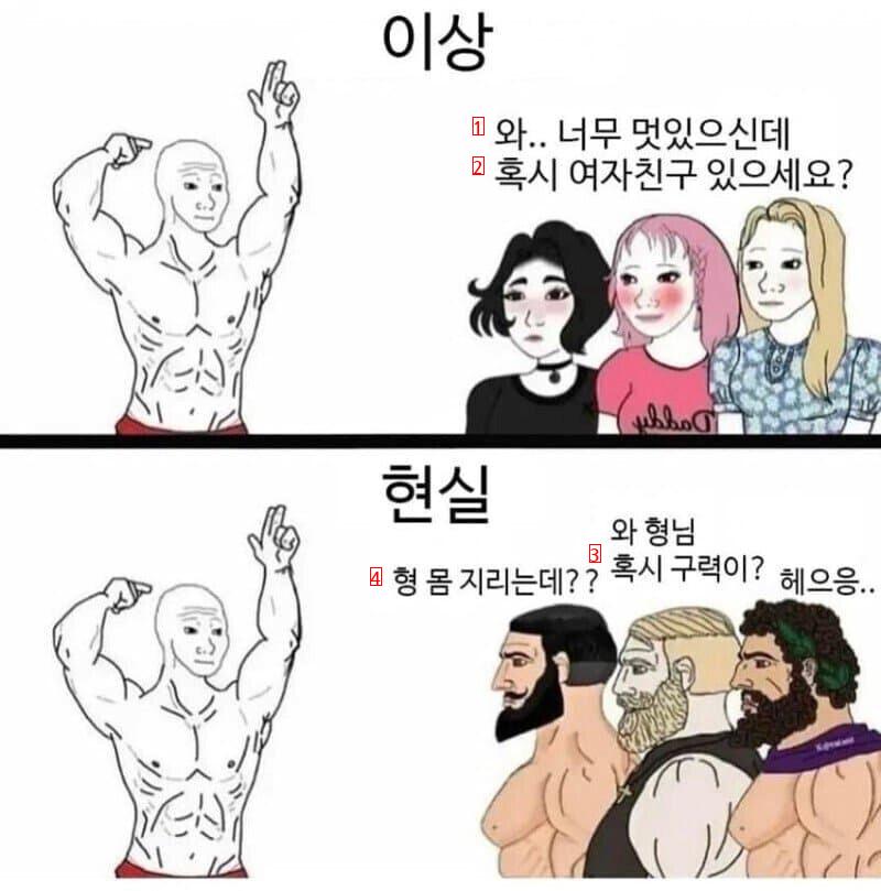 어느 헬갤러의 이상과 현실