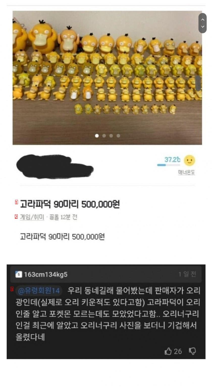 고라파덕 90마리가 당근마켓에 올라온 이유