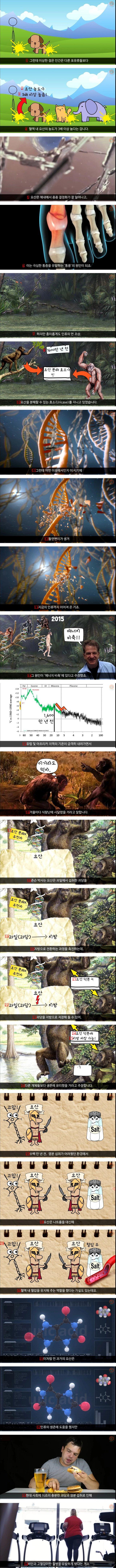 인간이 통풍에 걸리는 이유