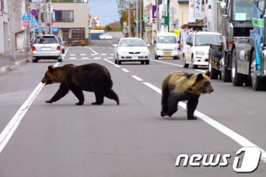 日本の近況