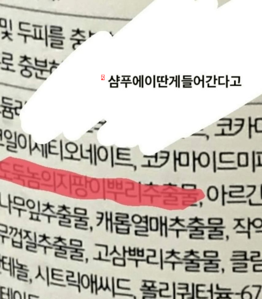 샴푸에 이딴 게 들어간다고..?.jpg