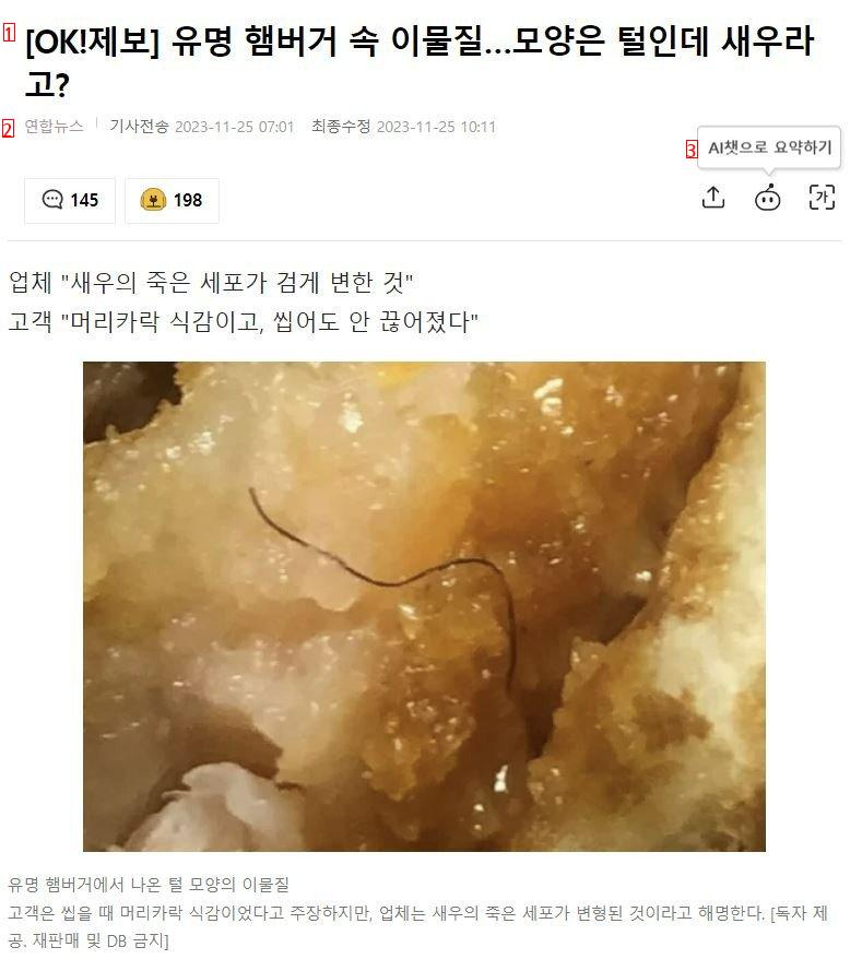 햄버거 패티에서 나온 털의 정체