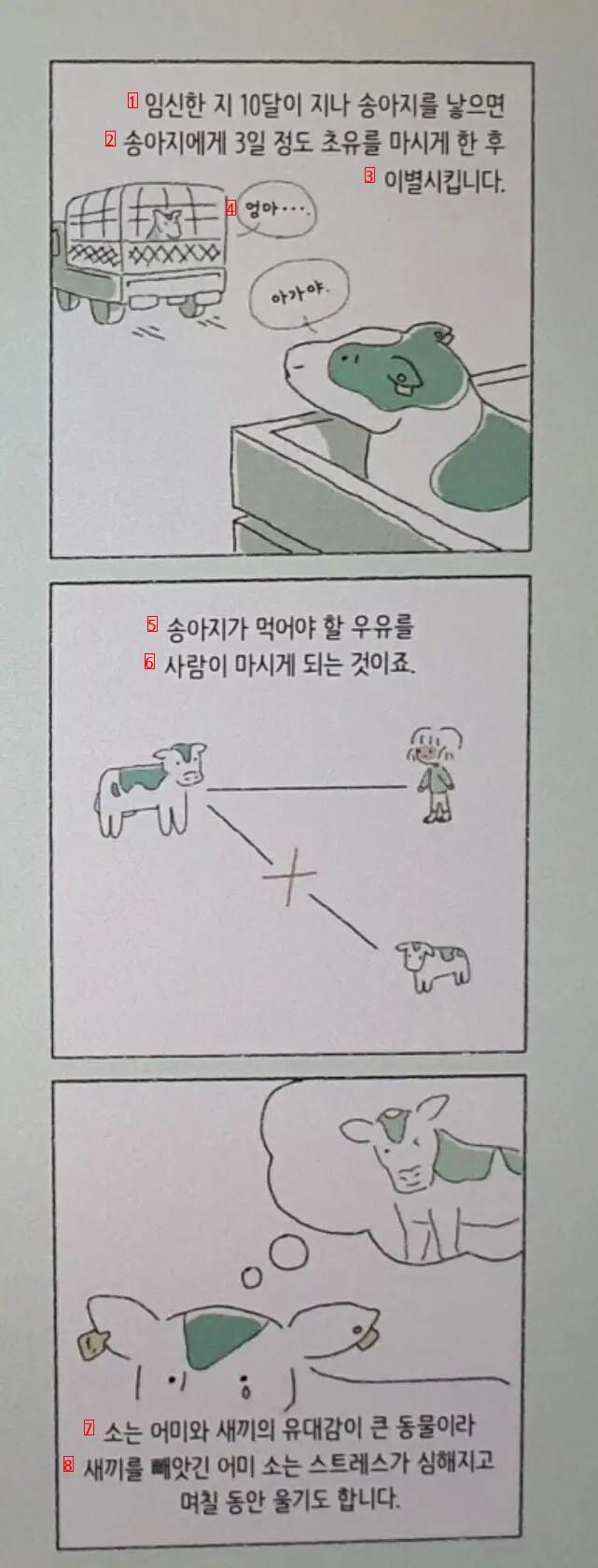 우리가 잘 몰랐던 젖소의 일생