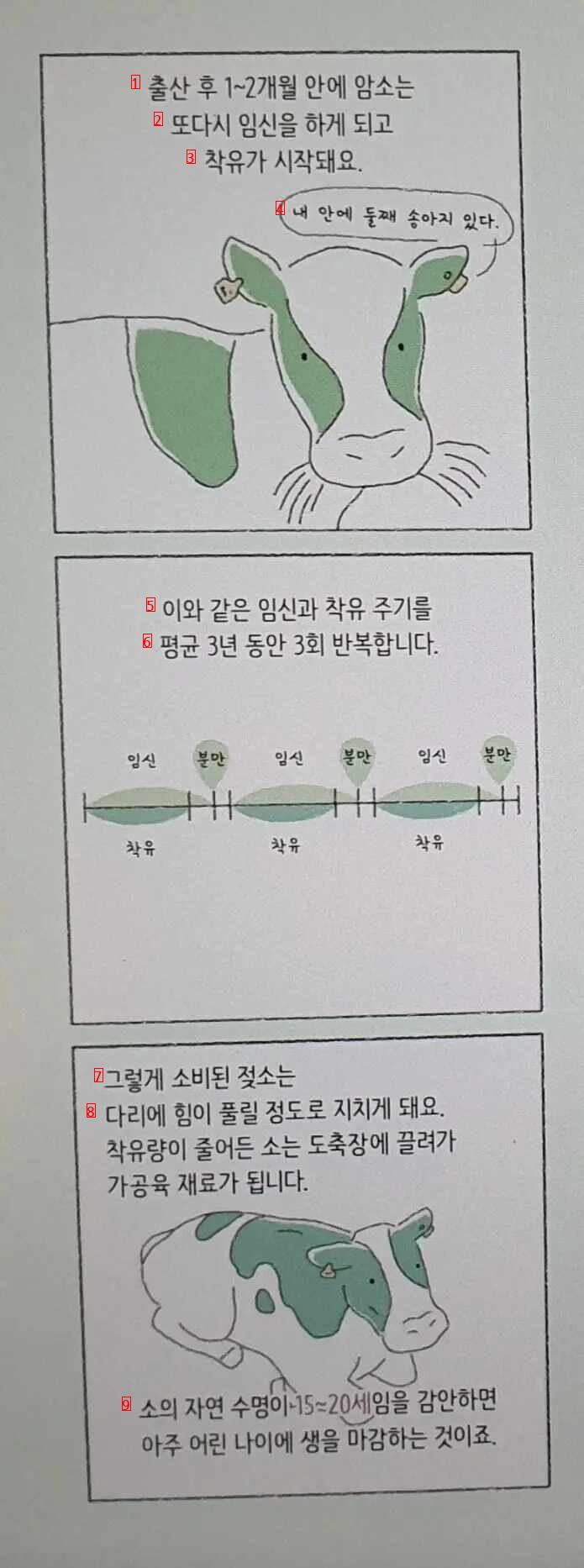 우리가 잘 몰랐던 젖소의 일생