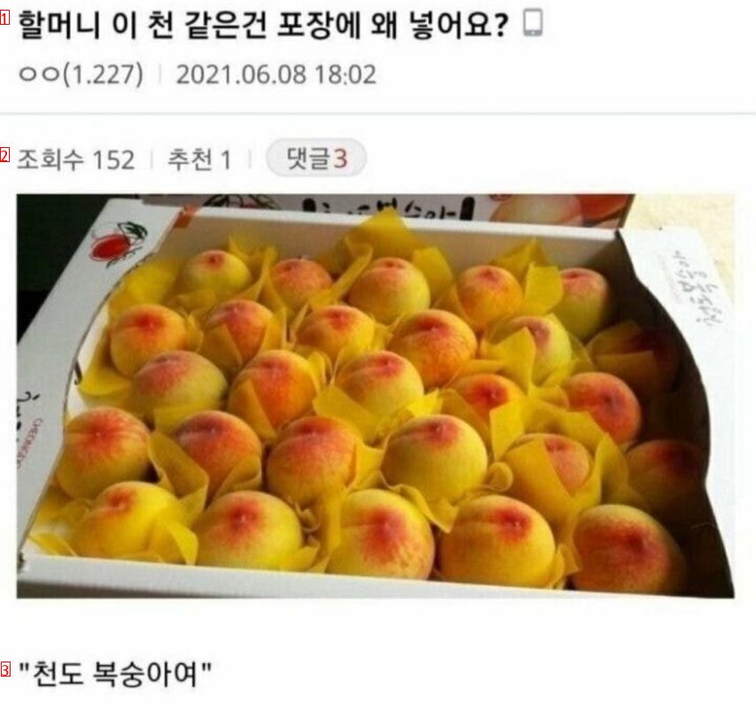 할머니? 왜 이 천을 복숭아에 넣죠?