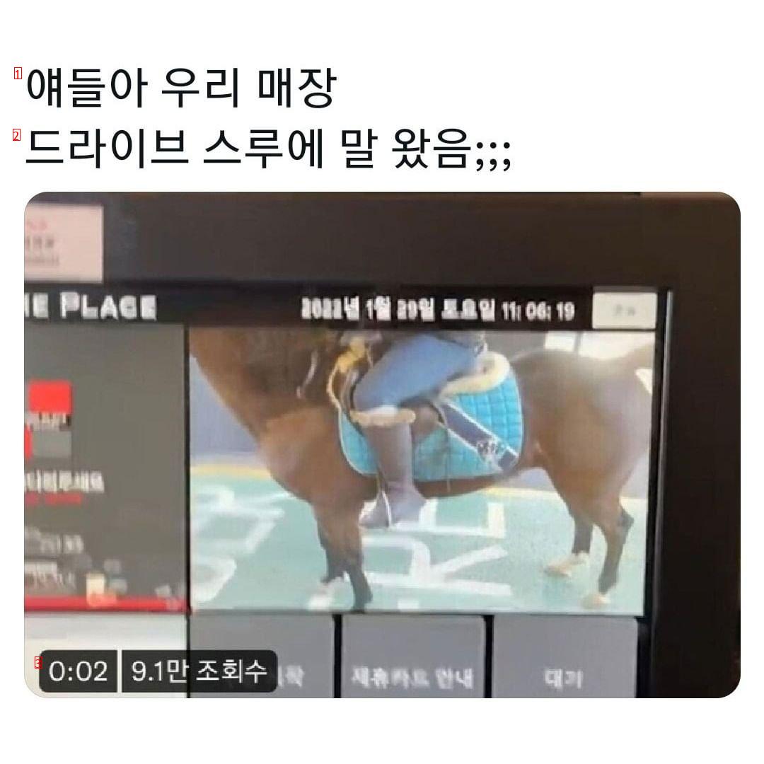 드디어 국내 드라이브스루에도