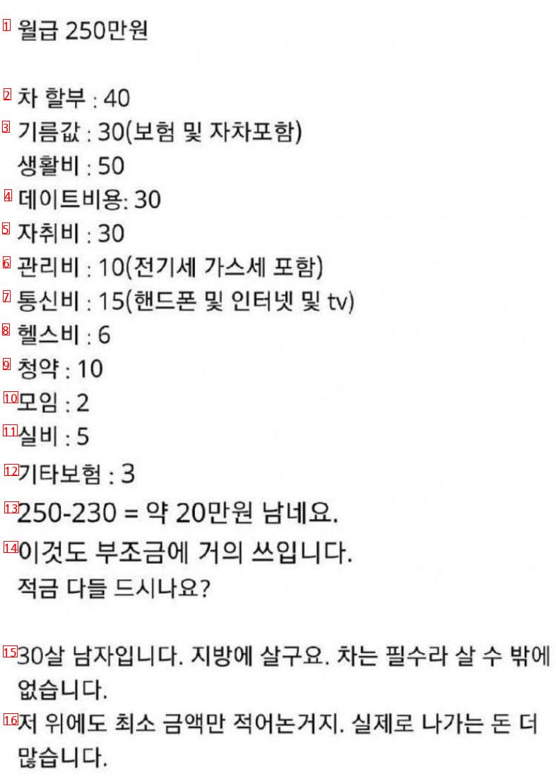 월급 250만원 30살 남자 한달 지출