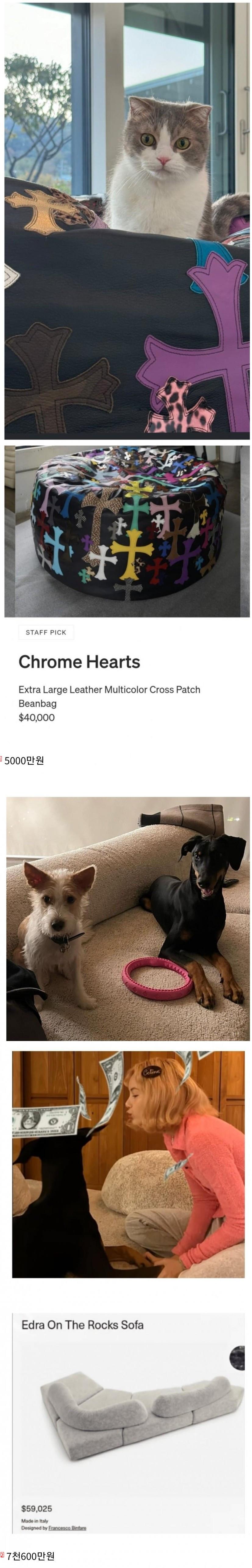 블랙핑크 리사 성북동 집 애완동물 쇼파 가격