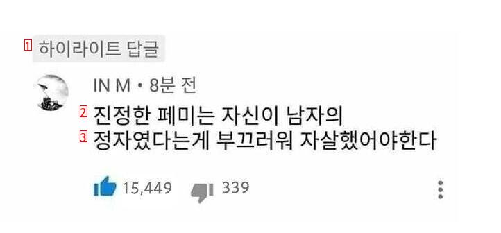 페미들이 절대 반박하지 못하는 댓글