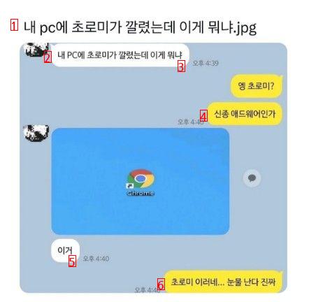 내 pc에 초로미가 깔렸는데 이게 뭐냐?.jpg