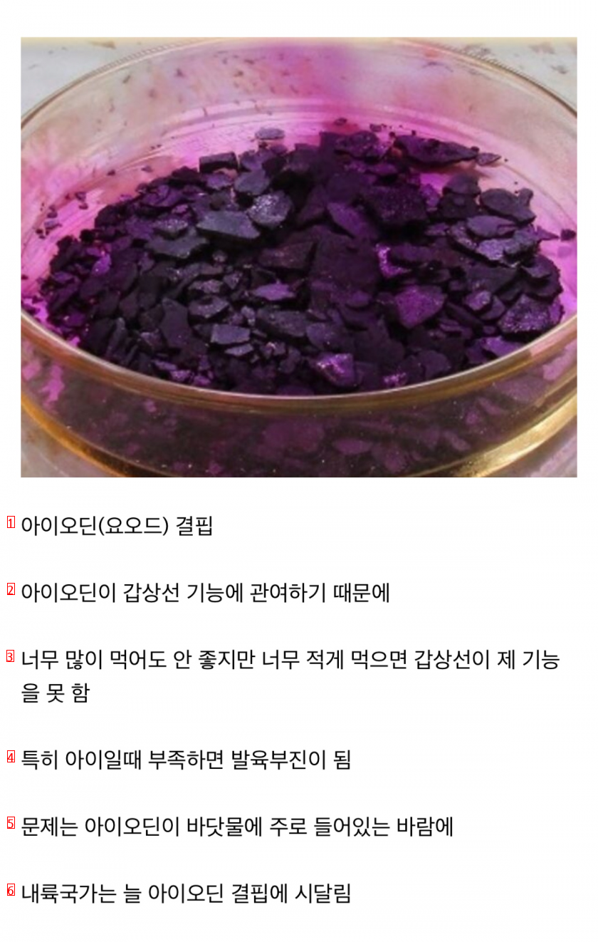 세계적으로 섭취가 부족해서 문제라는 영양소