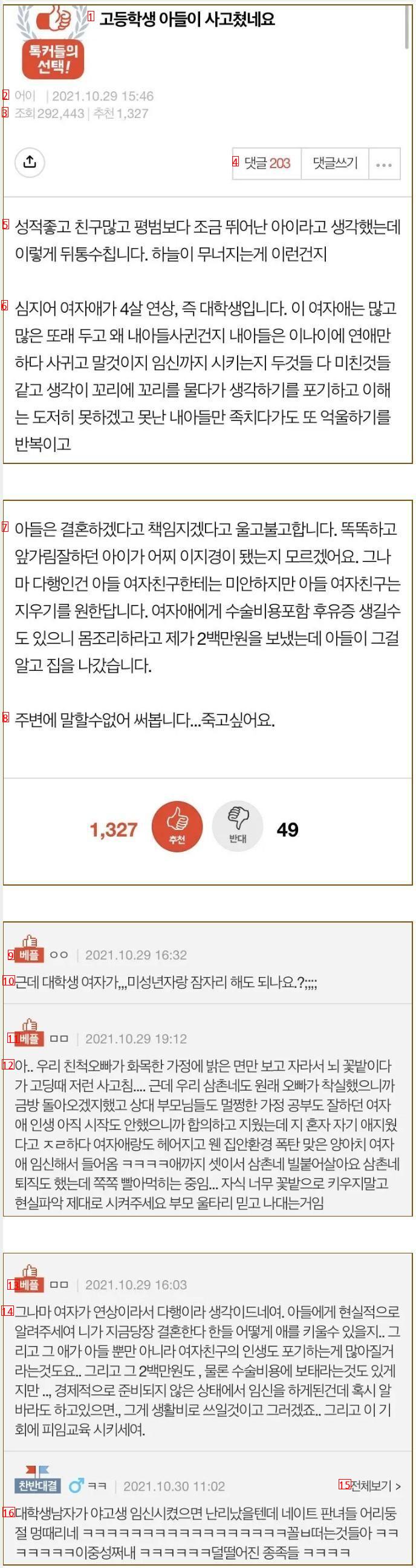 여대생과 사고친 고등학생 아들