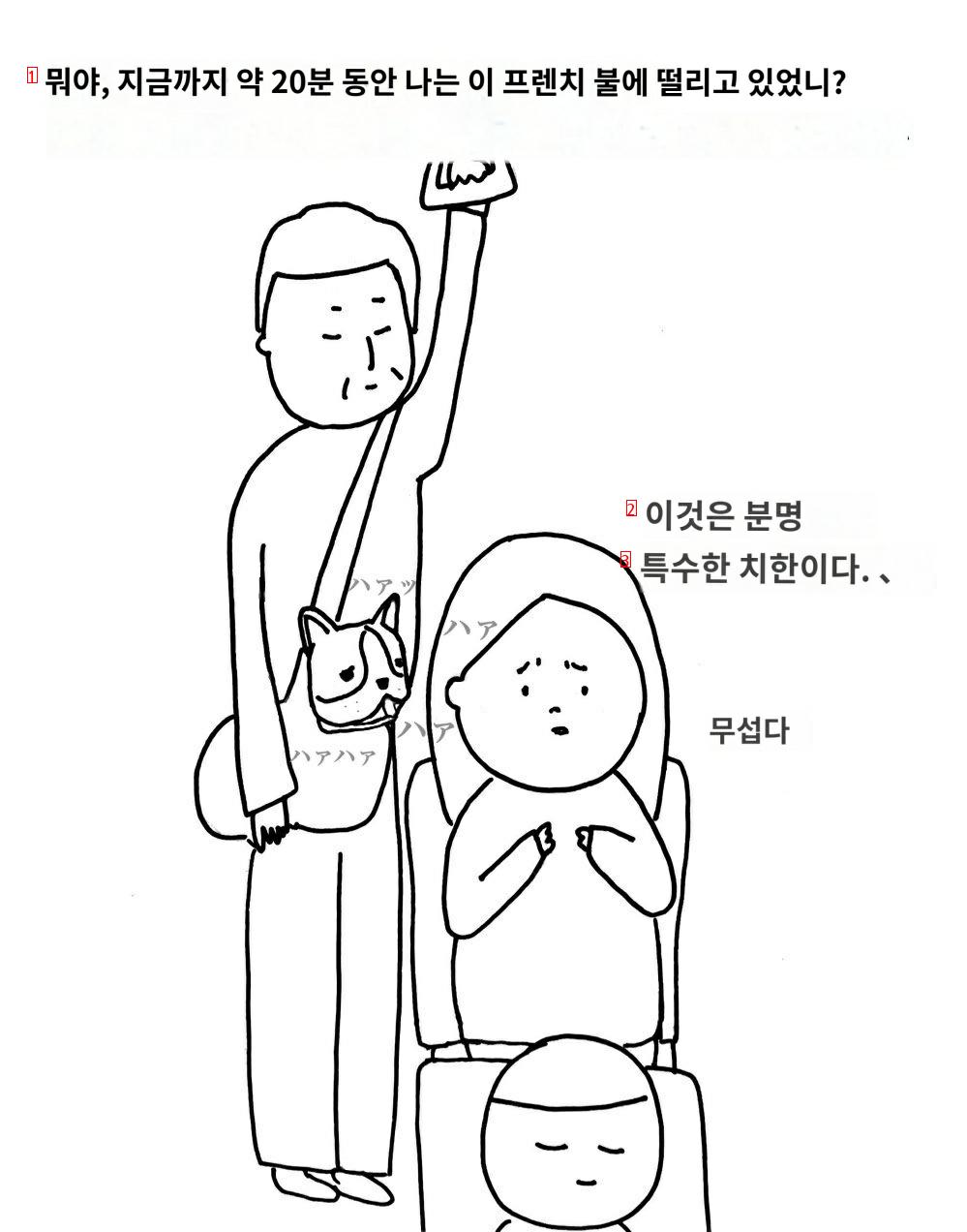 한국에서 버스탔는데 치한 만났다는 일본 여자