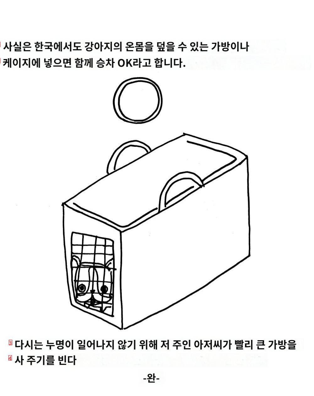 한국에서 버스탔는데 치한 만났다는 일본 여자