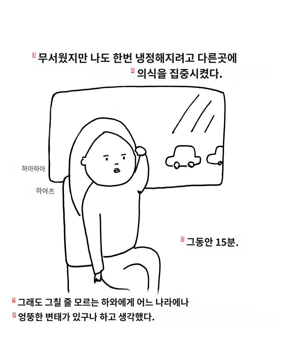 한국에서 버스탔는데 치한 만났다는 일본 여자