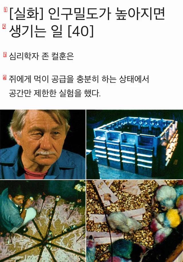 인구 밀도가 높아지면 생기는 일