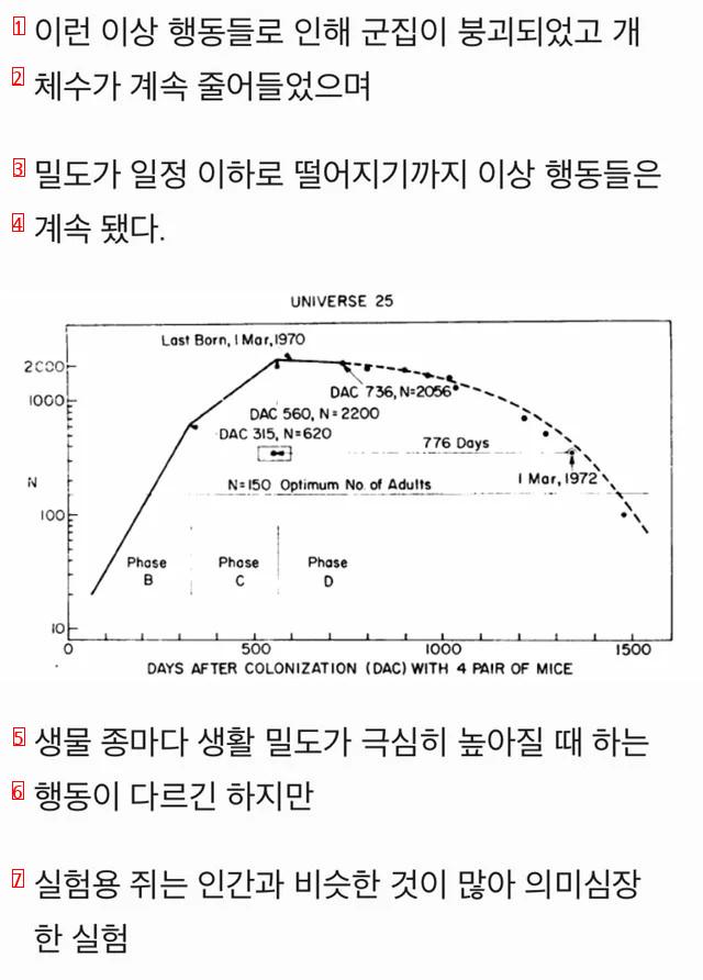 人口密度が高くなると起こる出来事