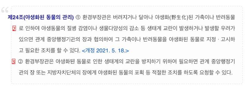 비둘기 먹이주기.. 드디어 처벌되나?