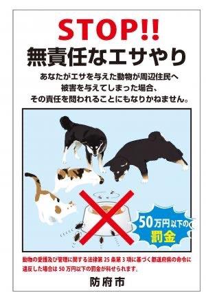 鳩に餌やり、ついに処罰されるのか