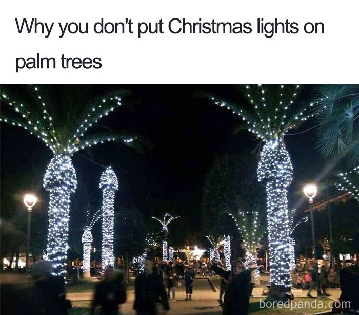 ヤシの木をクリスマスツリーとして使わない理由
