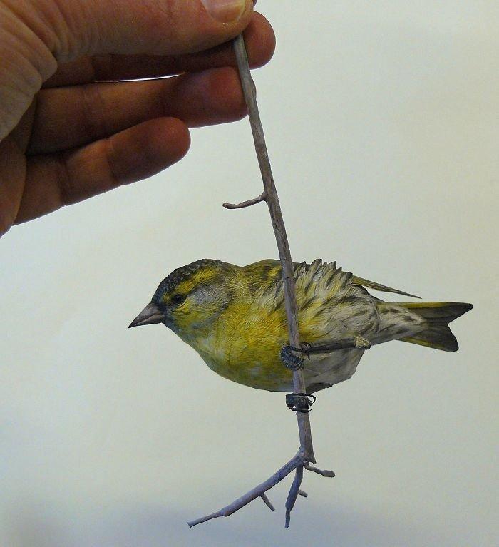紙製の驚くほどリアルな鳥