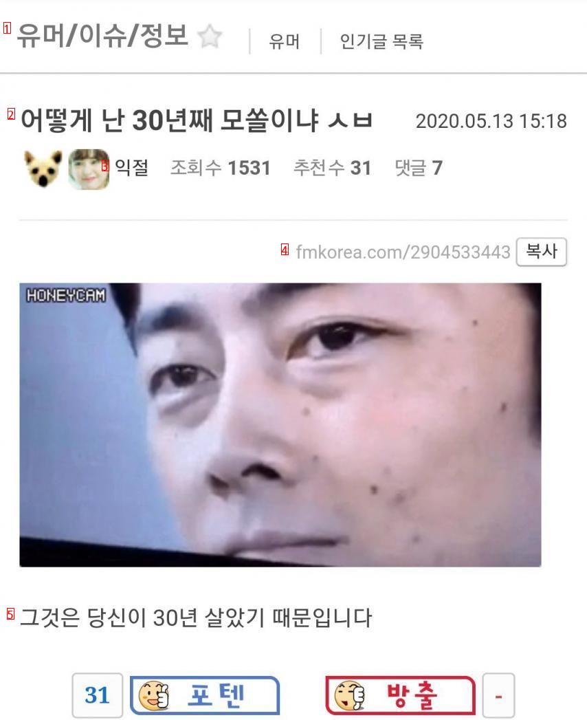 30년째 모쏠인 이유