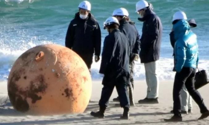 일본 해안에서 발견된 오징어땅콩...???