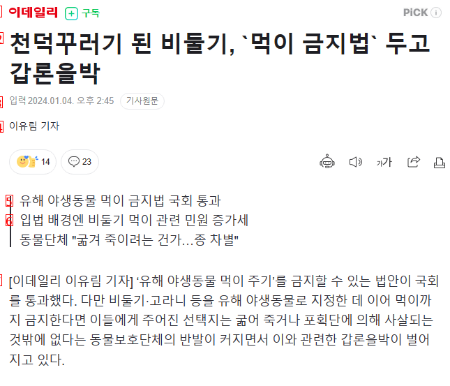 비둘기맘 먹이 금지법에 반발