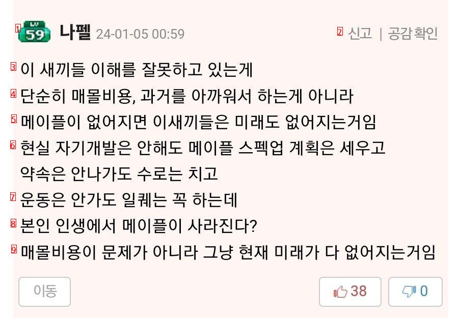 메이플 유저가 분석한 메이플 못접는 이유