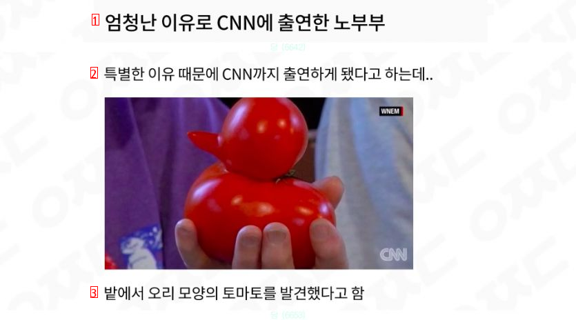 CNNに出る方法