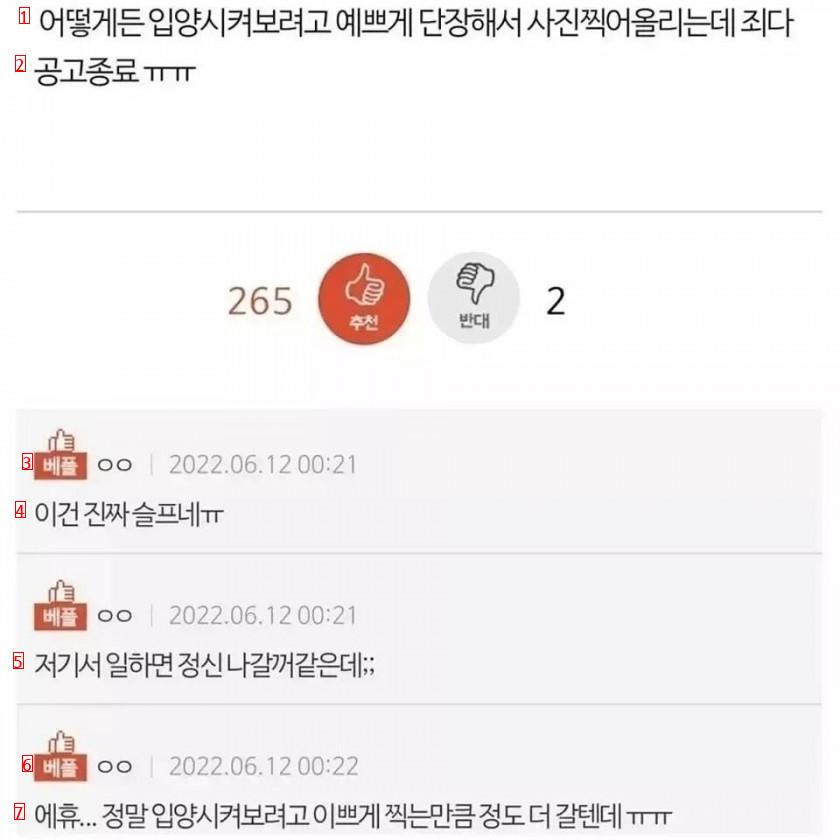 여초의 정신병 걸릴 것 같은 일터