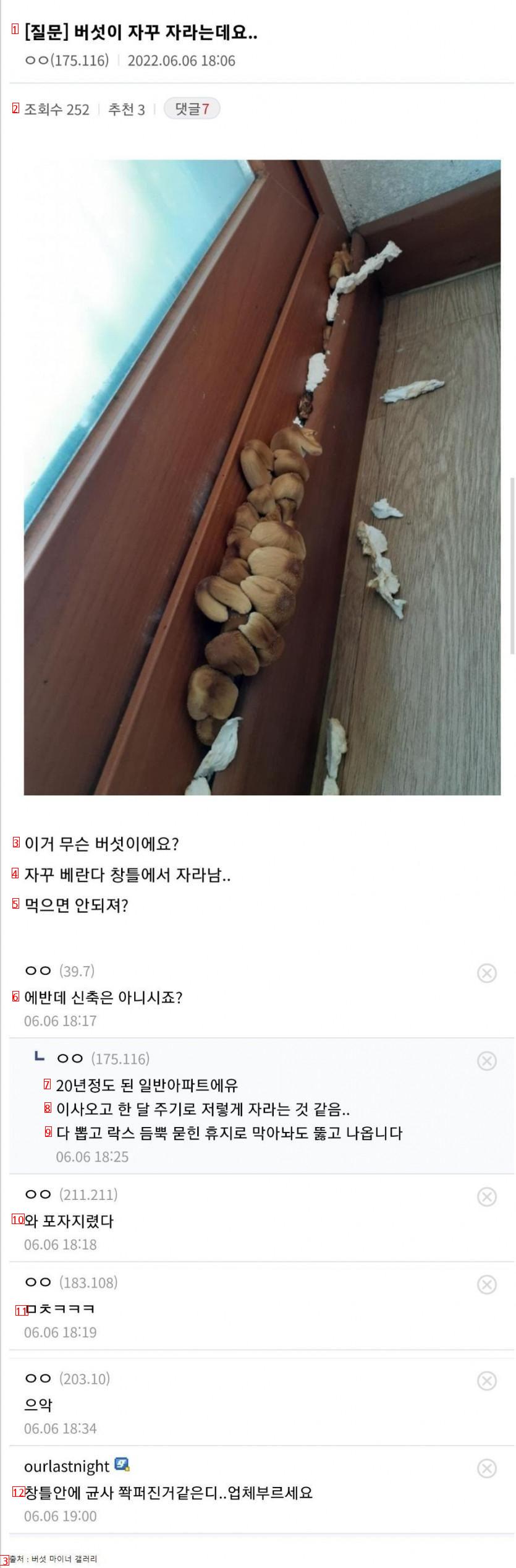 창틀에서 버섯이 자꾸 자라는데요..