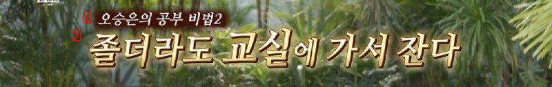 유퀴즈) 수능 최초 만점자 교수님의 전설의 어록