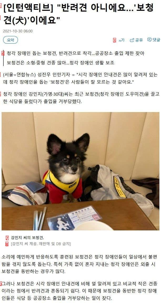 청각장애인을 돕는 보조견도 있다 ..JPG