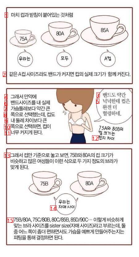 A컵이 결코 작지 않은 이유