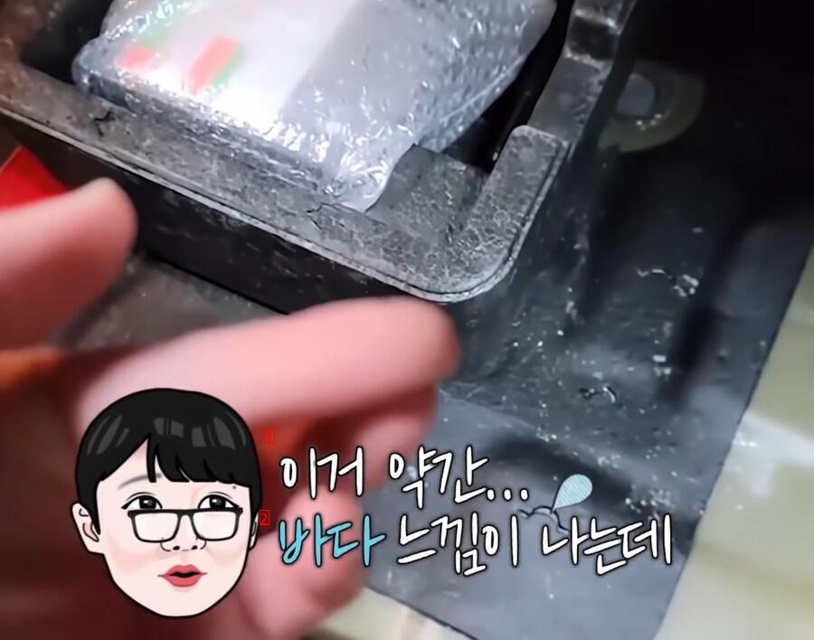 한국 중고차 매장에 간 일본인 유튜버