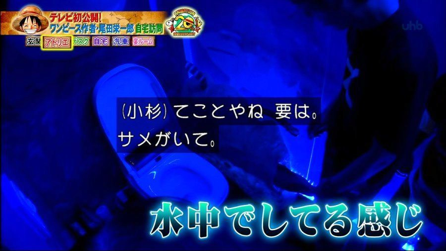 地味ではないワンピース作家の家の内部風景