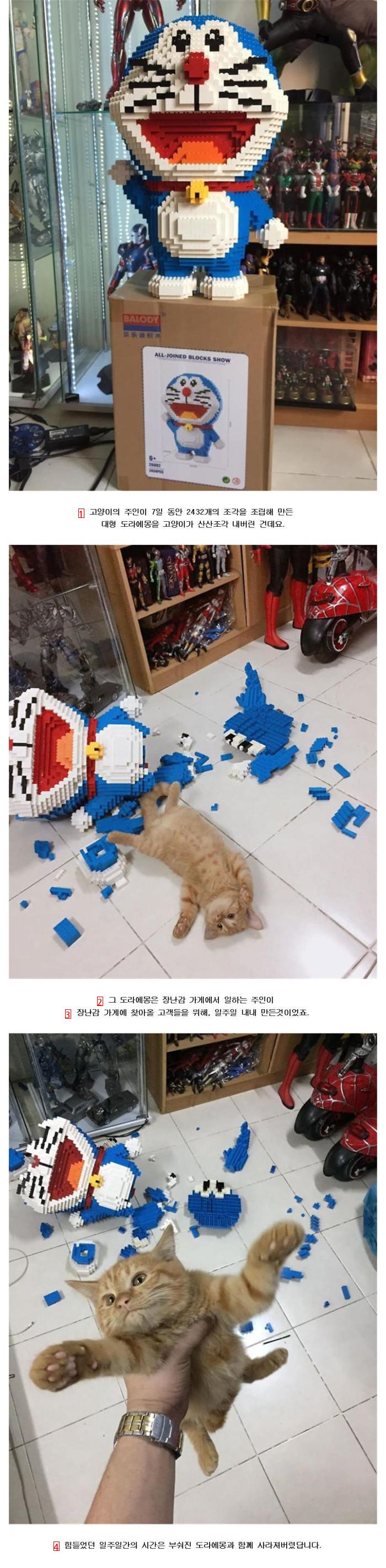 7일 동안 만든 대형 레고를 고양이가 부쉈다.