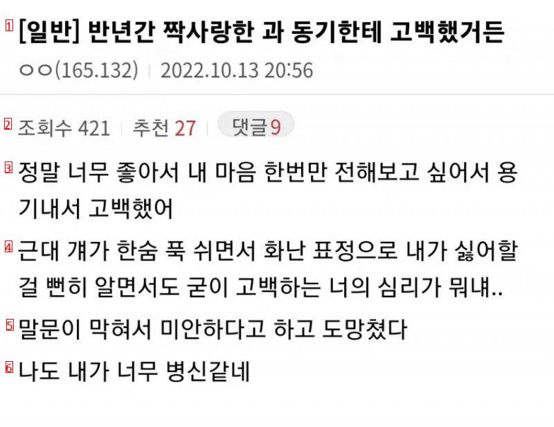 반년간 짝사랑한 과동기한테 고백했다