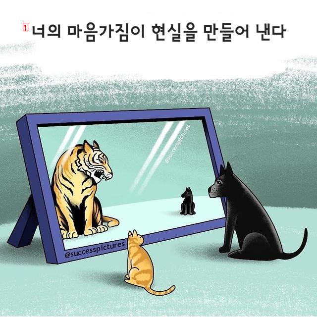 인생의 좋은 팁 모음