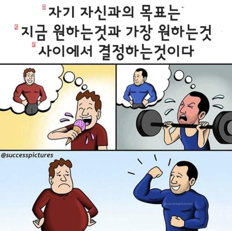 인생의 좋은 팁 모음