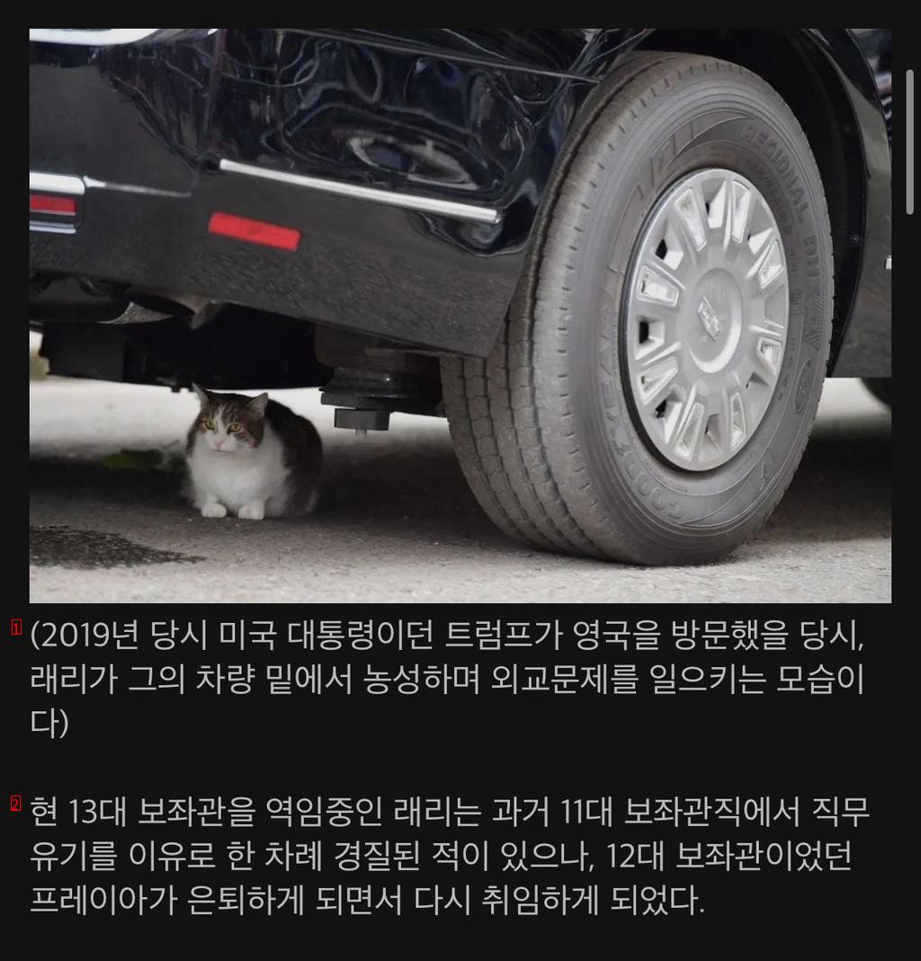 올해로 100년째 유지되고 있는 영국만의 공무원직