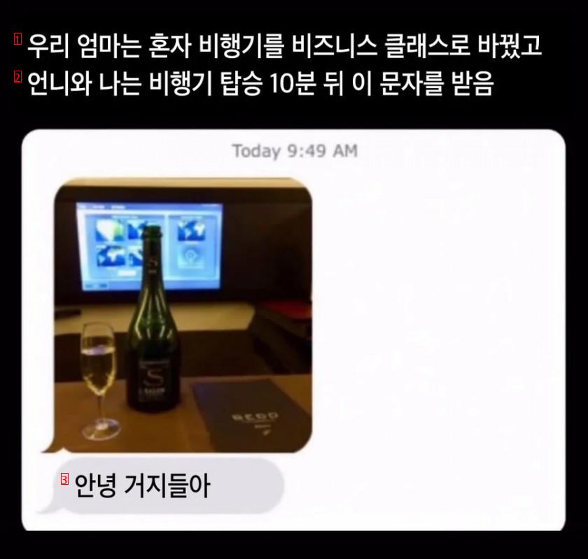 혼자서 비즈니스석으로 바꾼 어머니가 보낸메세지